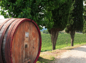 image22 Fattoria Castelvecchi